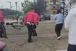 摩托哥被爆料了吗视频大全,揭秘背后真相与精彩瞬间