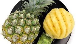 凤梨爆料视频大全最新版本,最新版本精彩内容大盘点