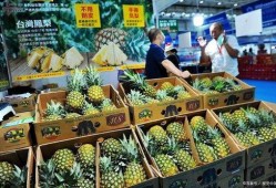 凤梨爆料视频大全最新版本,最新版本精彩内容大盘点