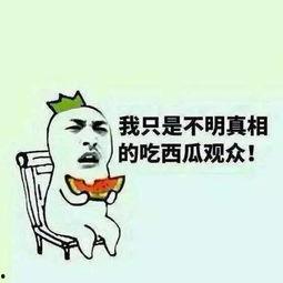 我就是个吃瓜群众图片大全,趣味横生的网络现象大盘点