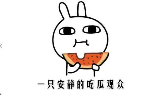网络上的吃瓜是什么意思,“吃瓜”背后的含义与趣味
